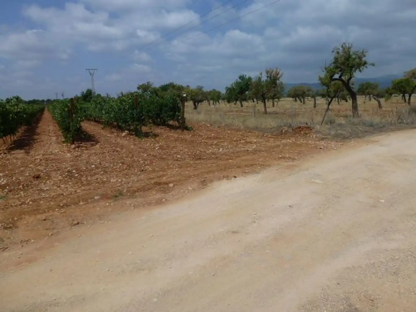 Terreno en venta en Binissalem