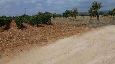 Foto 2 von Grundstücke zum Verkauf in Camino Sa Cabana, Binissalem, Illes Balears