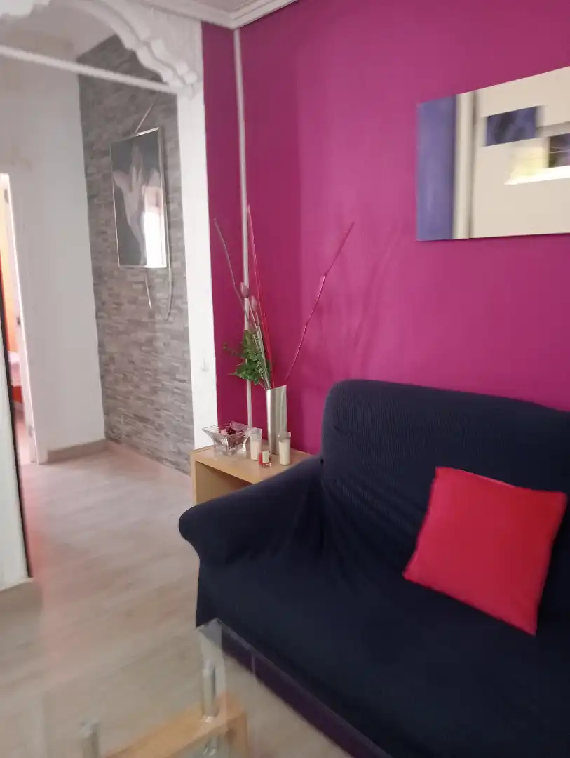 Sala de estar de Piso de alquiler en Valencia con Amueblado, Horno y Lavadora