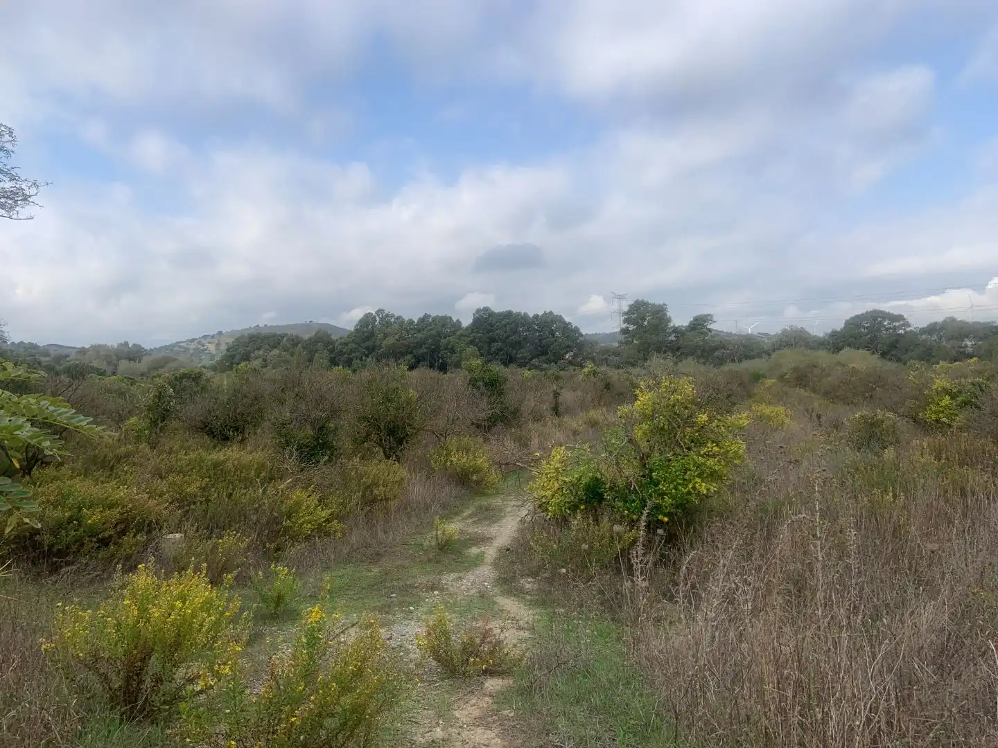 Terreno en venta en Casares