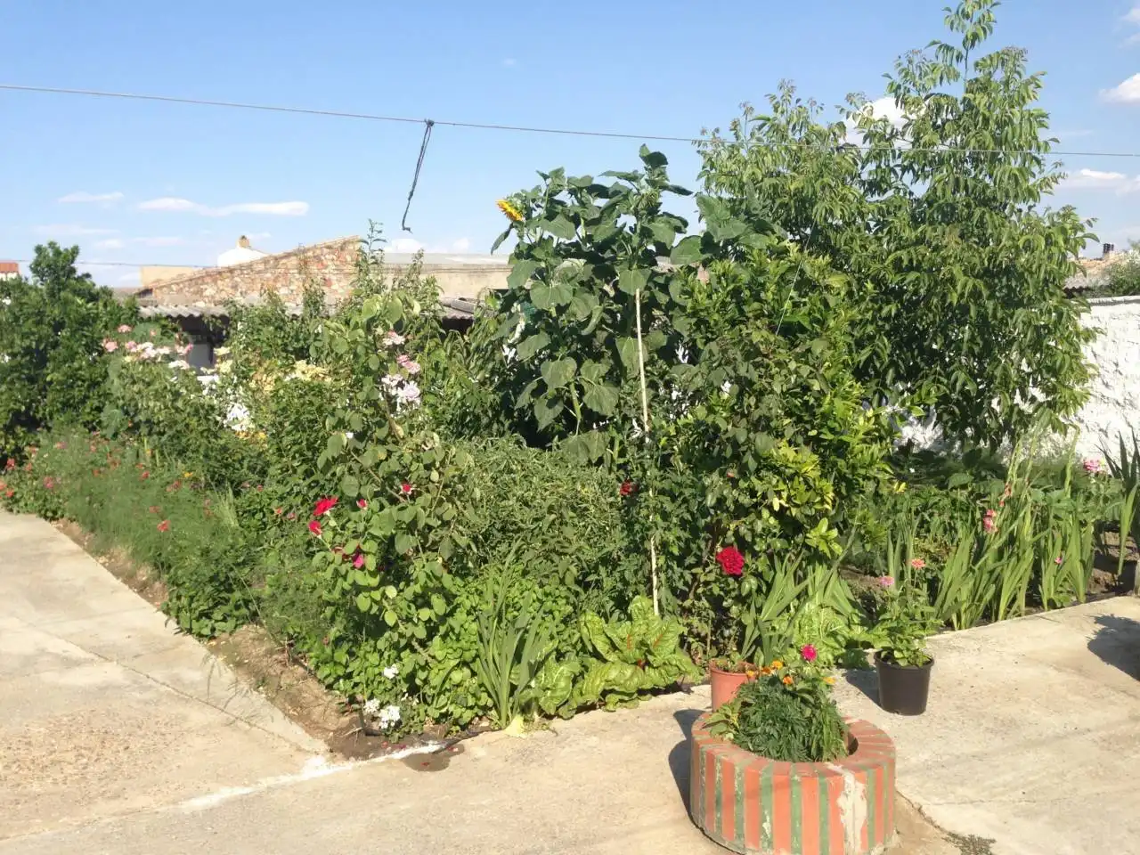 House for sale in Calle JALISCO, imagen 9