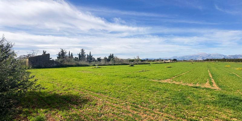 Finca rústica en venta en Muro