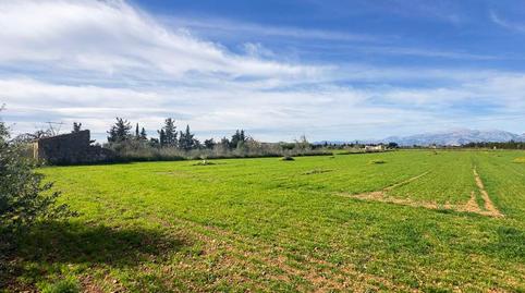 Foto 2 de Finca rústica en venta en Polígono Biniaco, Muro, Illes Balears