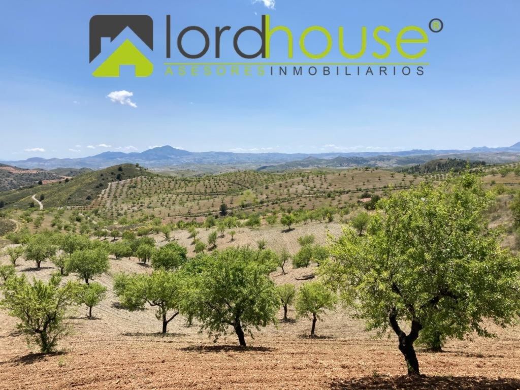 Casa o xalet en venda en Lorca