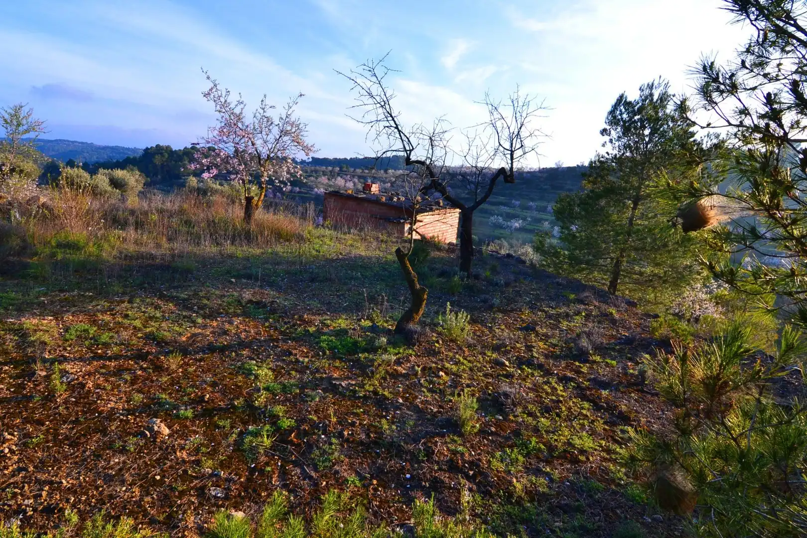 Rural land for sale in Corbera d'Ebre, imagen 56