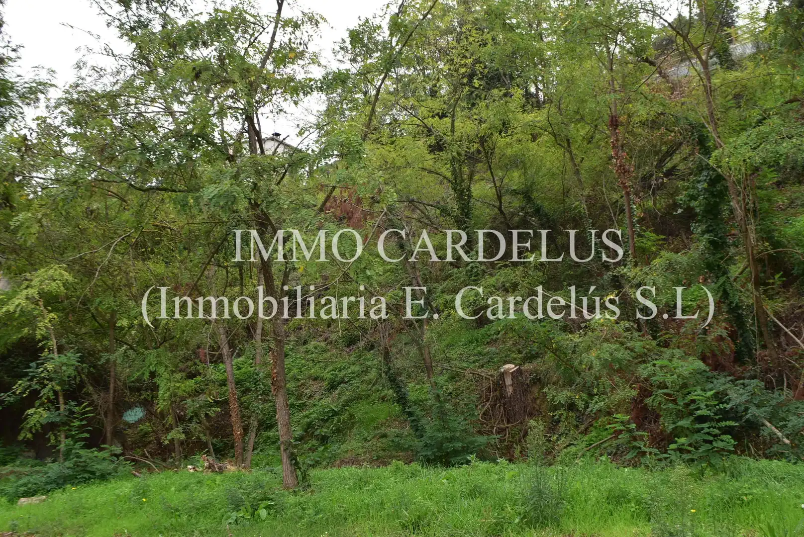 Residential land for sale in Vallgorguina, imagen 3