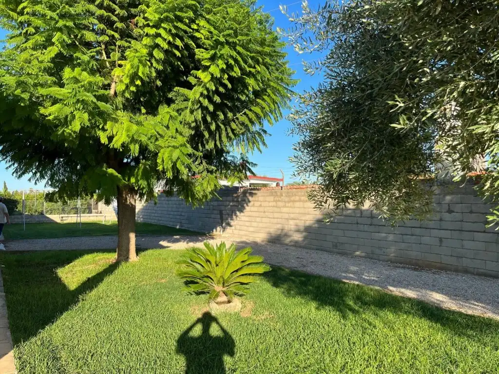 Garten von Wohnung zum Verkauf in Benicarló mit Privatgarten, Terrasse und Schwimmbad