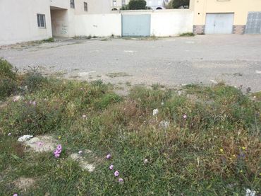 Terreno rustico in vendita a La Mojonera