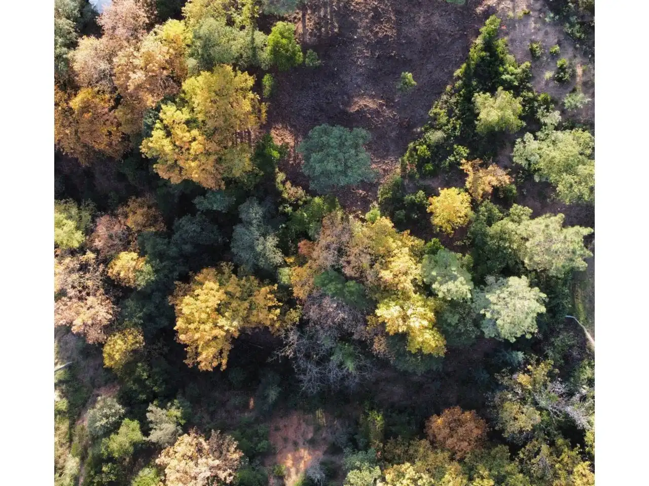 Terreno rustico in vendita a Calle Riells I Viabrea, imagen 13