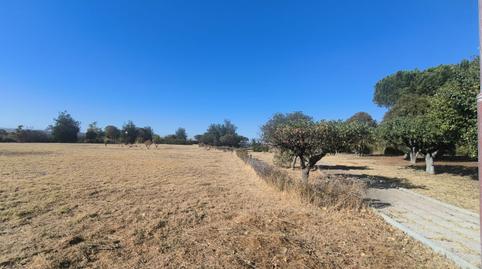 Photo 4 of House or chalet for sale in De Salamanca, Cabrerizos, Salamanca