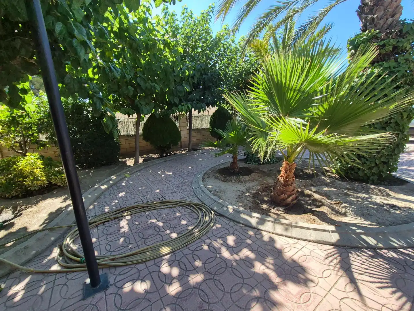 Jardí de Casa o xalet en venda en Elda amb Jardí privat, Terrassa i Traster