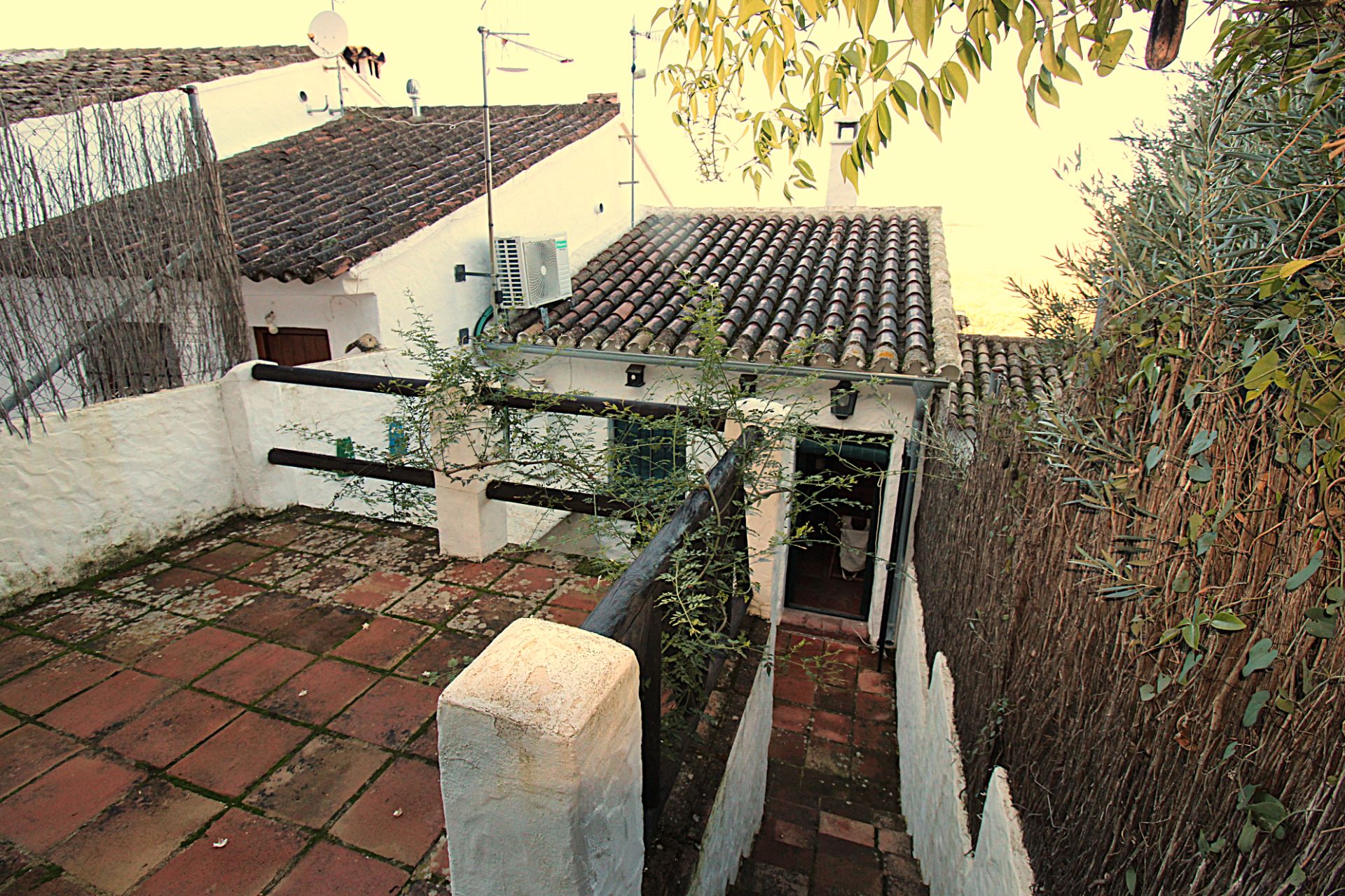 Vista exterior de Casa adosada en venda en Zahara amb Aire condicionat, Calefacció i Jardí privat