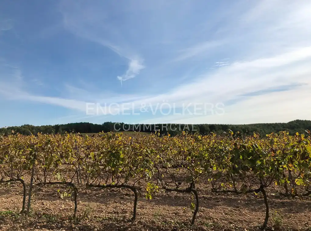 Fabrik Grundstücke zum Verkauf in Avinyonet del Penedès