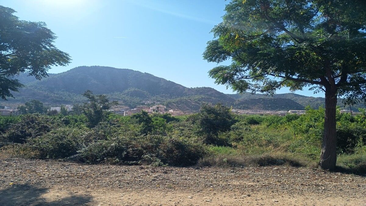 Residencial en venta en  Murcia Capital