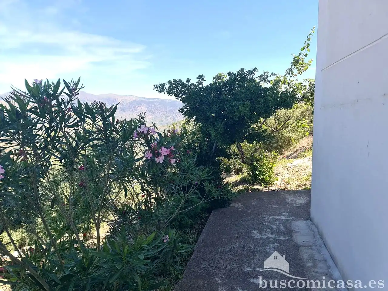 Vista exterior de Casa o xalet en venda en Huelma amb Aire condicionat, Calefacció i Jardí privat