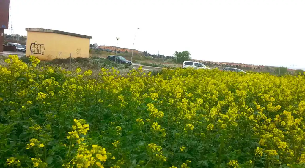 Terreny residencial en venda a Calle Jacinto Benavente