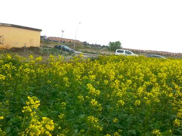 Terreny residencial en venda a Calle Jacinto Benavente