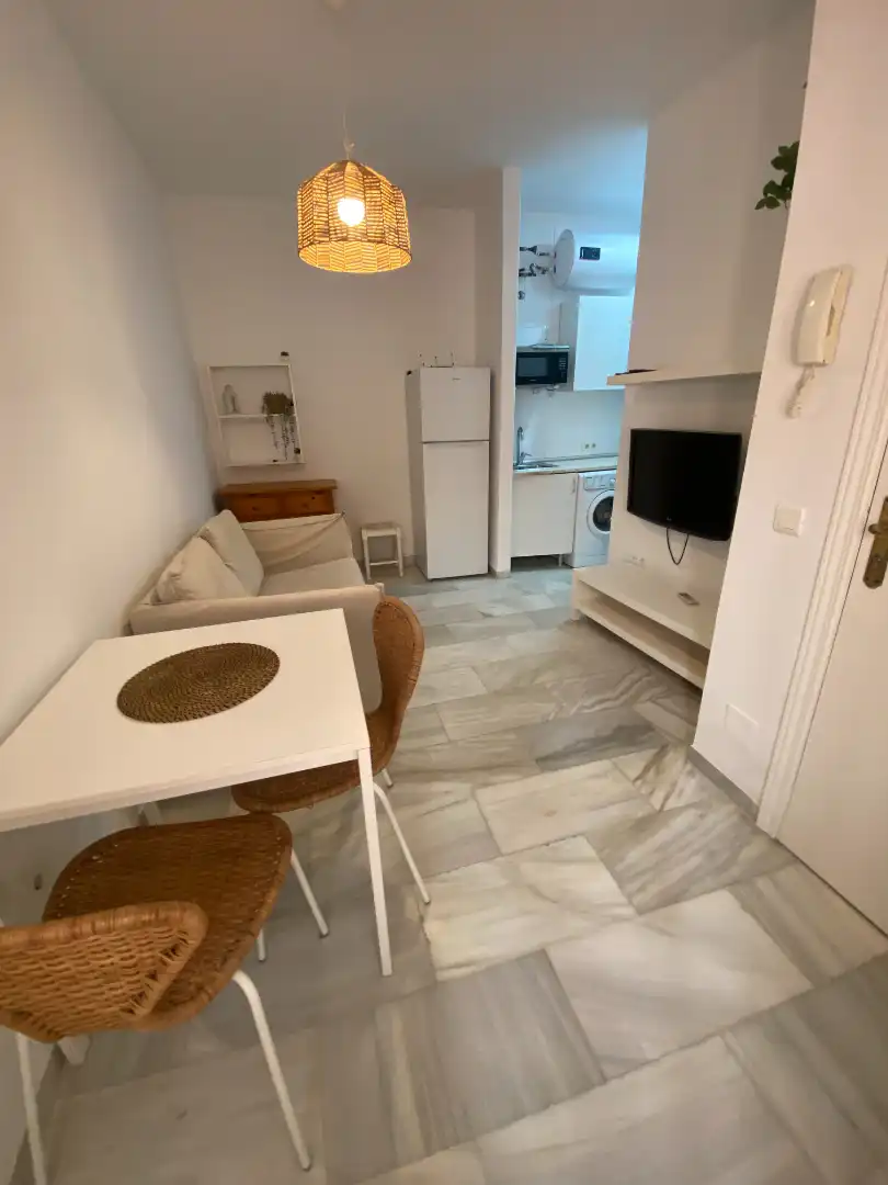 Sala d'estar de Apartament de lloguer en Málaga amb Aire condicionat, Moblat i Rentadora