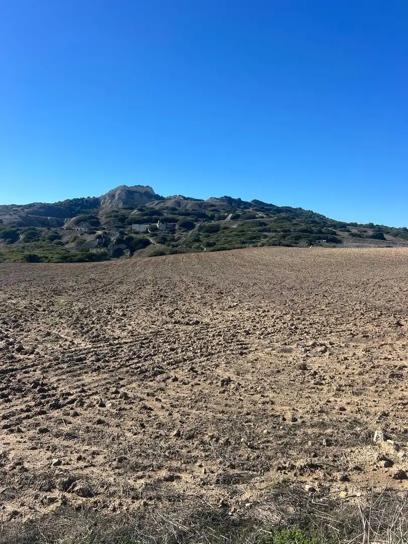 Terreny rústic en venda a Medina Sidonia, imagen 10