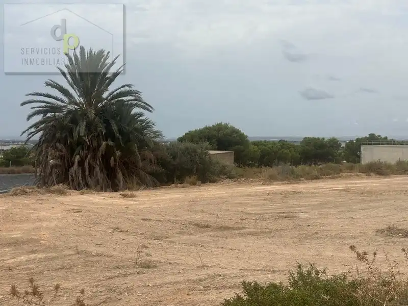 Rustikales Grundstück zum Verkauf in Partida Saladas 2162B, imagen 13