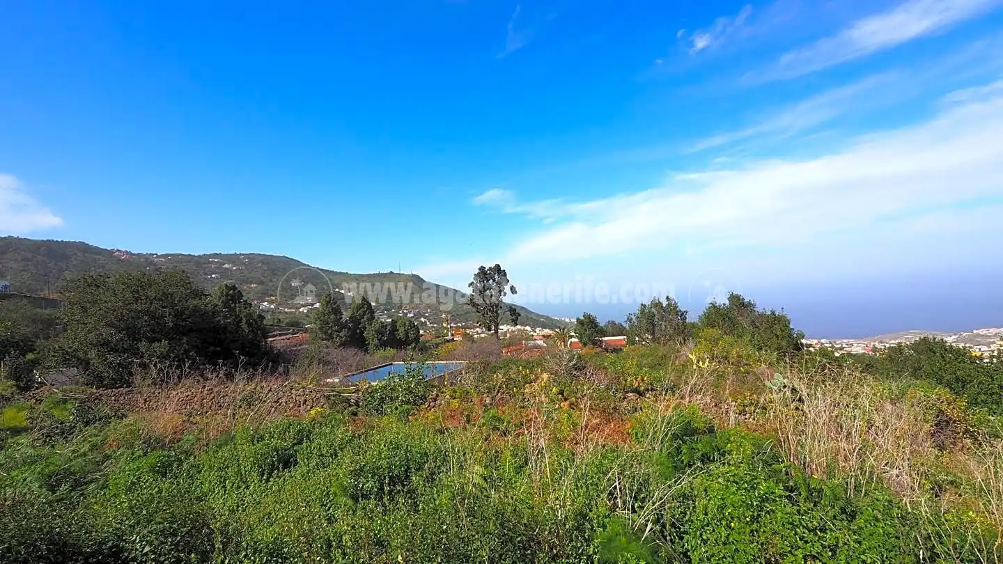 Maison rustique avec terrasse à vendre à La Vega - El Amparo - Cueva del Viento, imagen 14