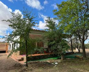 Vista exterior de Finca rústica en venda en Santa Cruz de Mudela