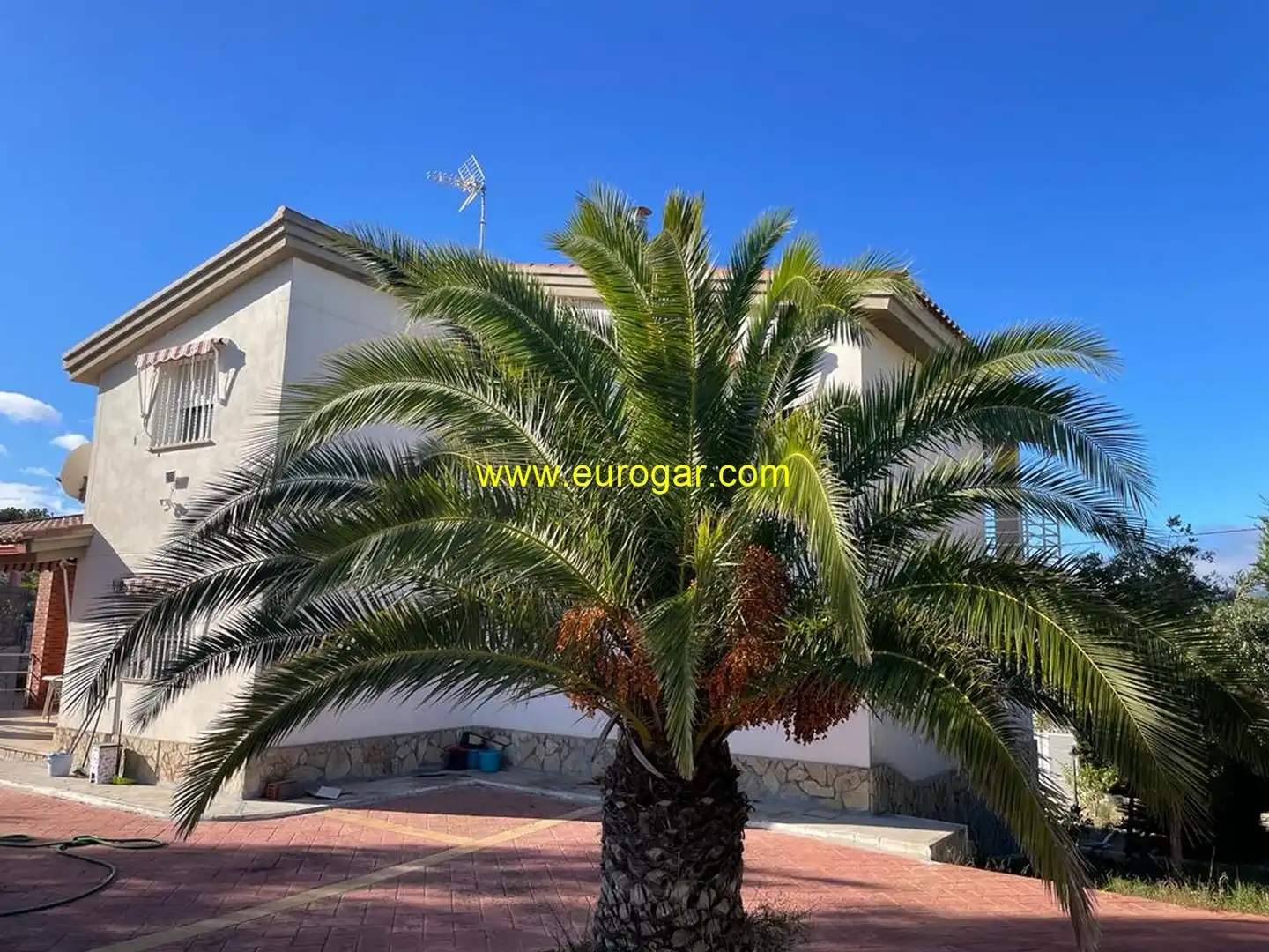 Villa in vendita a Centro, imagen 5