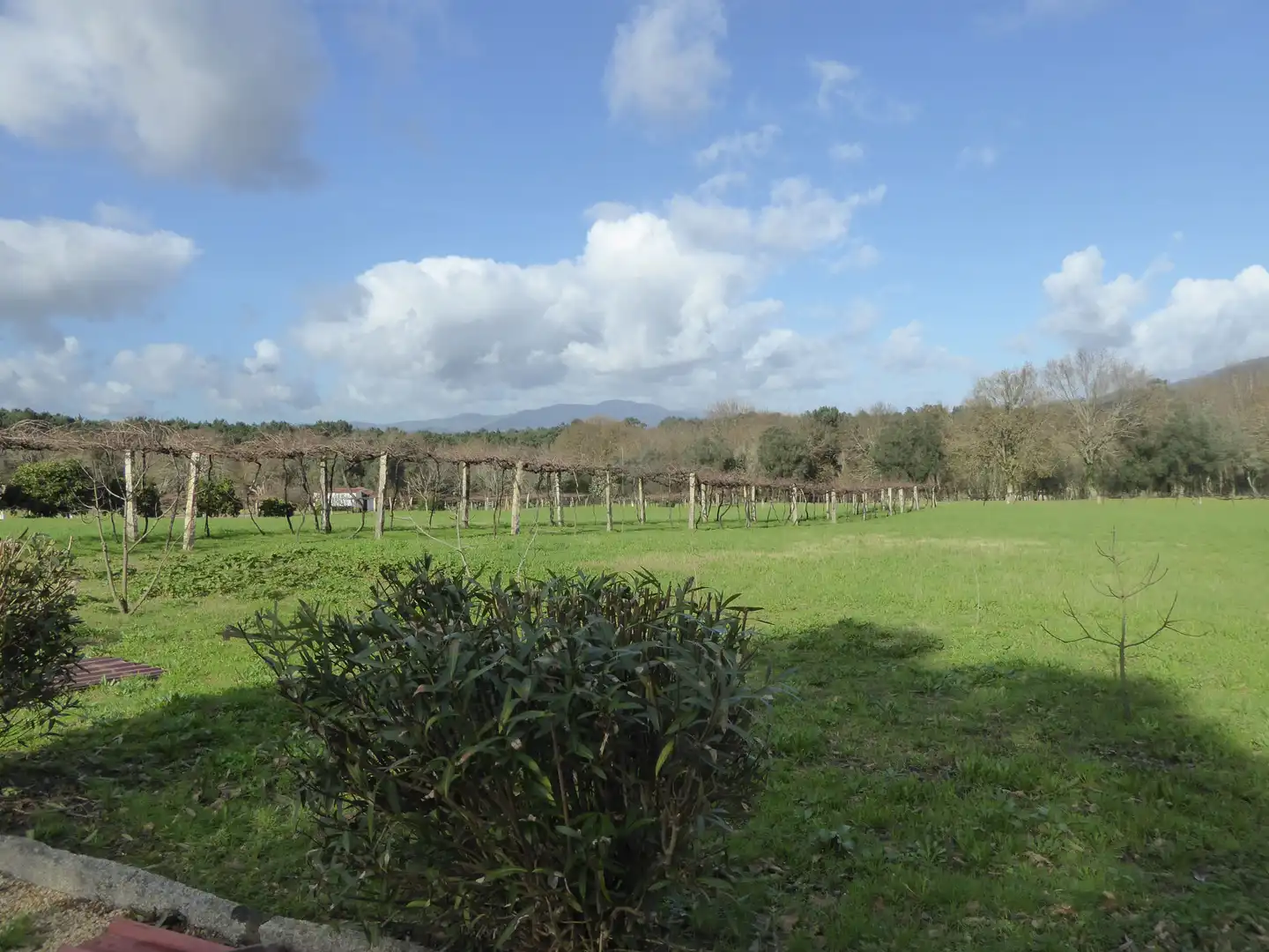 Country house zum Verkauf in Tui mit Klimaanlage, Heizung und Privatgarten