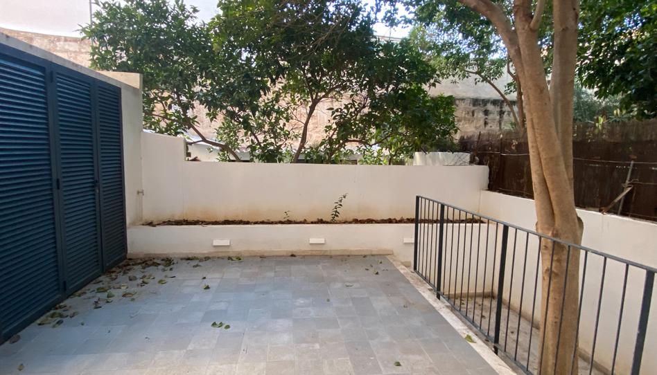 Foto 1 de Planta baixa de lloguer a Carrer de L'arxiduc Lluís Salvador, Arxiduc, Illes Balears