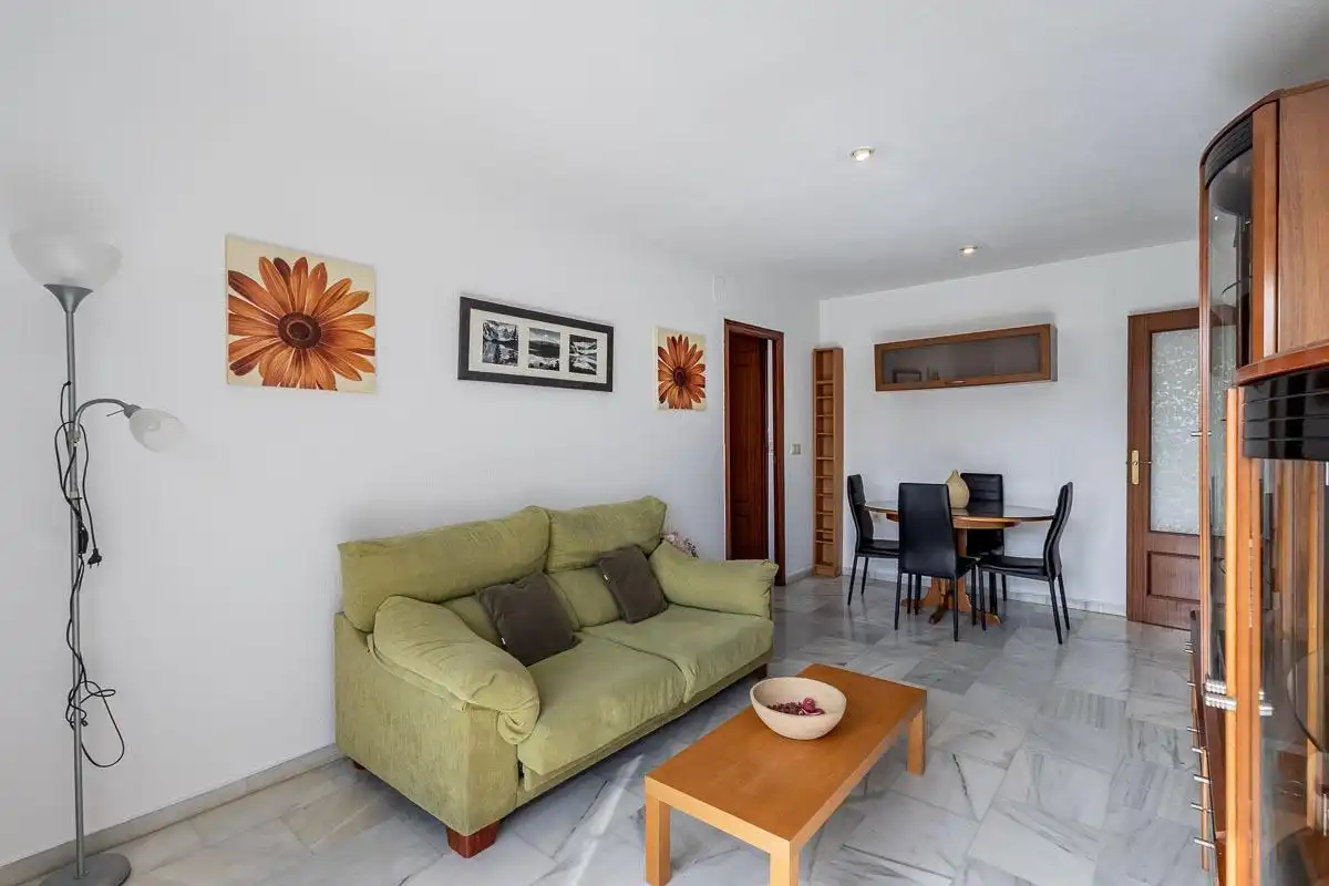 Sala d'estar de Pis en venda en Granada amb Balcó