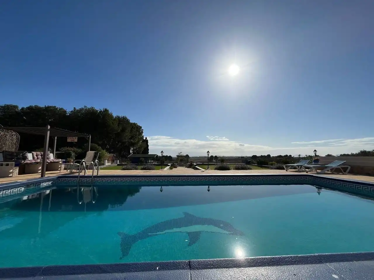 Swimming pool of Houses for sale in Torre-Pacheco