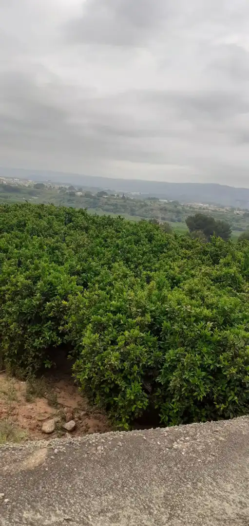 Terreno en venta en Xàtiva