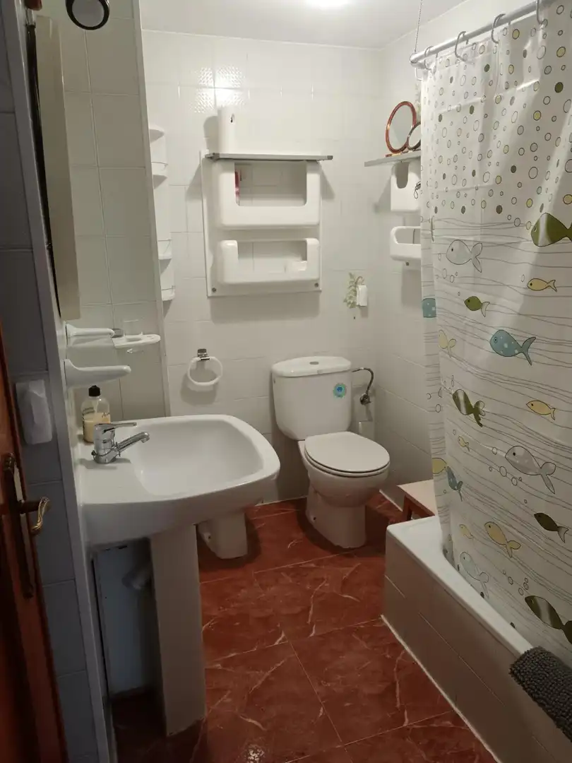 Apartament amb terrassa de lloguer a Calle CASTELLA-LLEO DE, imagen 22