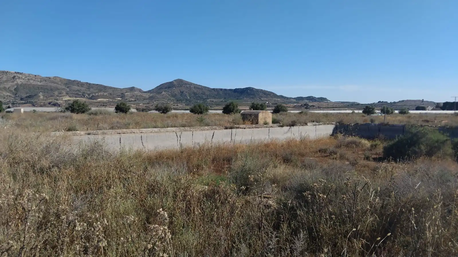 Terreny rústic en venda a Partida Sol del Camp 144, imagen 16