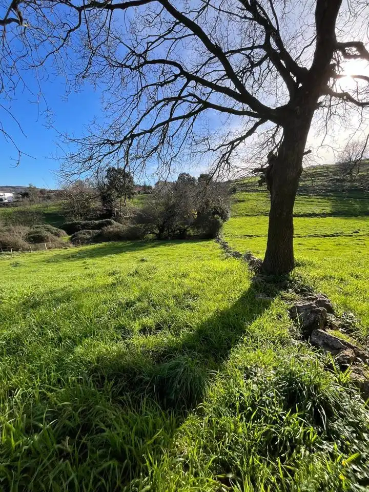 Lands and plots for sale in poligono, imagen 4