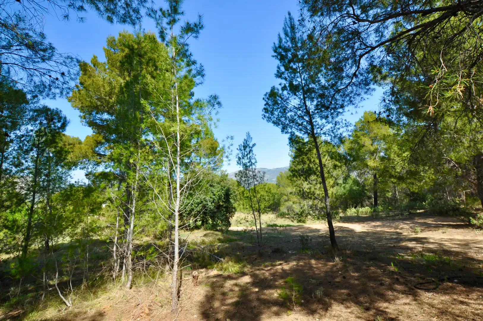 Residential zum Verkauf in Muro de Alcoy
