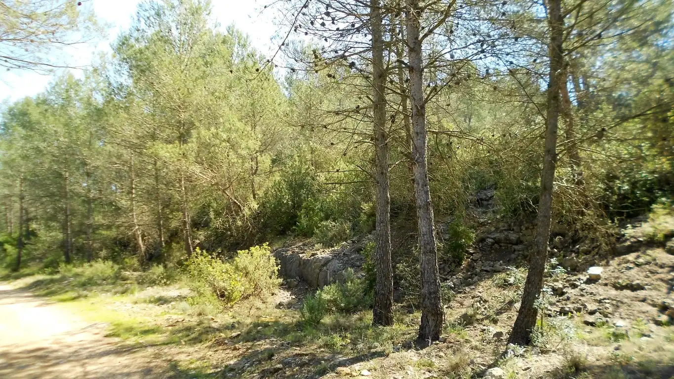 Terreno rústico en venta en Carrer Olesa de Bonesvalls 9, imagen 4