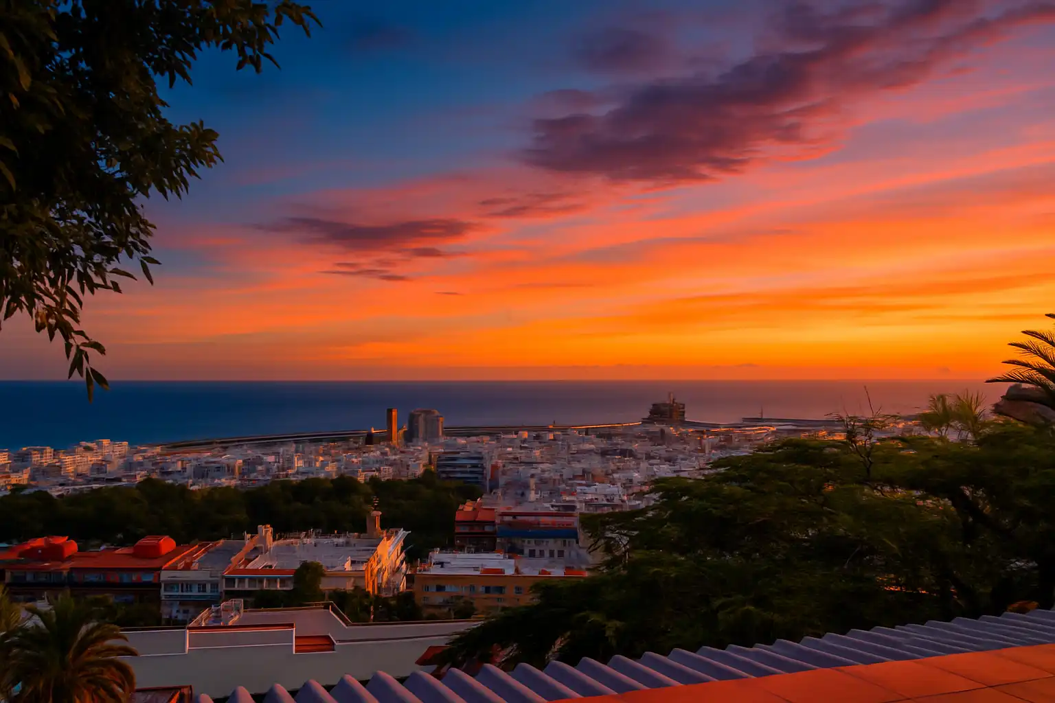 Vista exterior de Casa o chalet en venta en Santa Cruz de Tenerife con Jardín privado, Parquet y Terraza