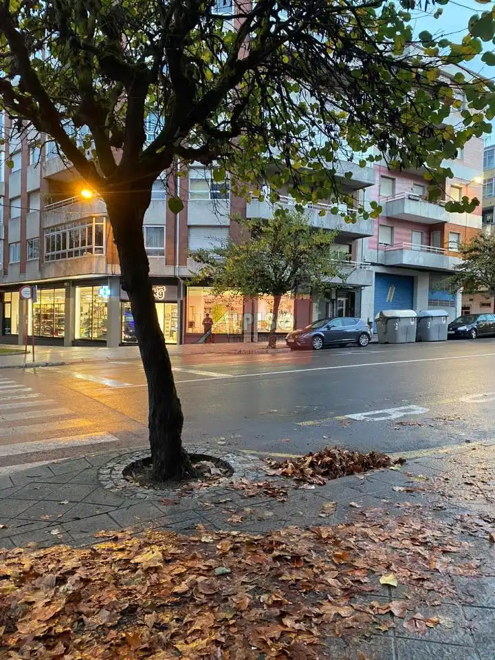 Business premises for sale in Ervedelo
