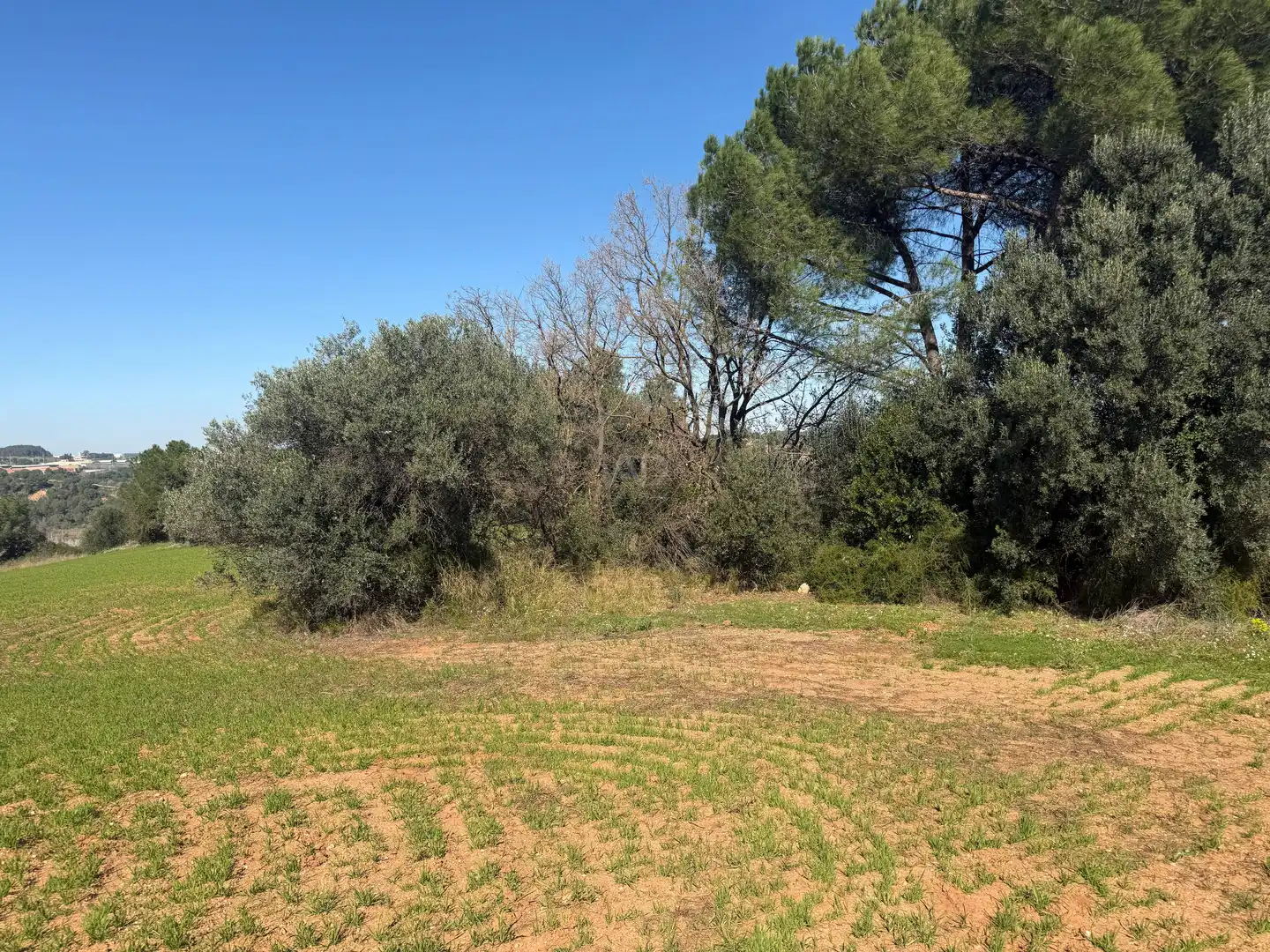 Rustikales Grundstück zum Verkauf in Castellví de Rosanes, imagen 3