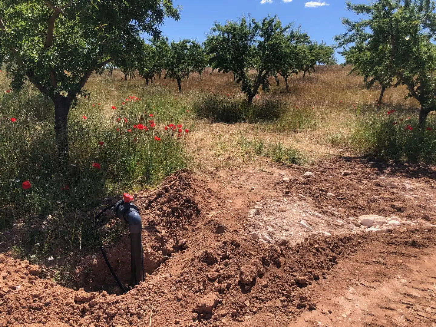 Terrenos y solares en venta en Hellín, imagen 5