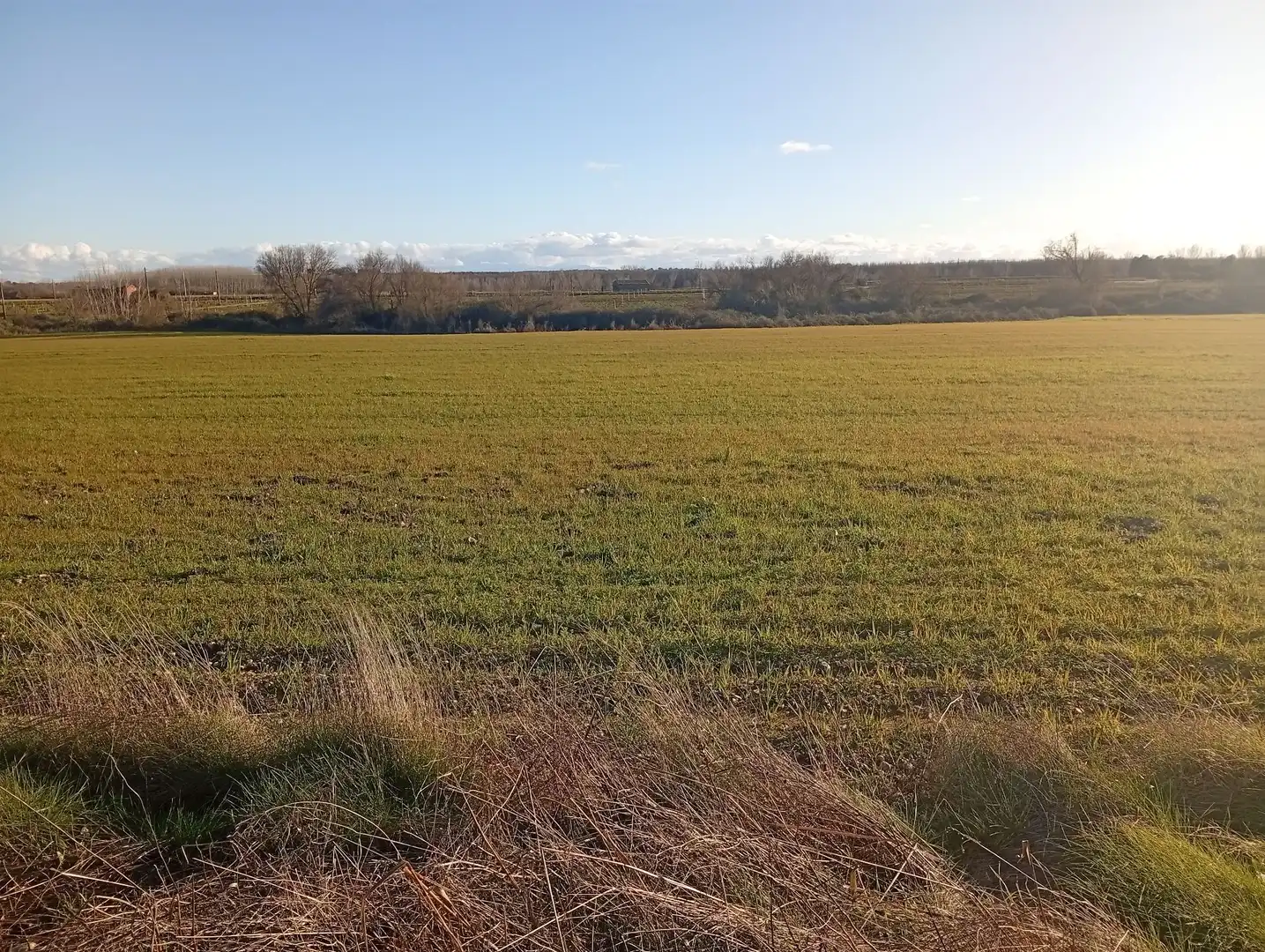 Land for sale in Losar de la Vera