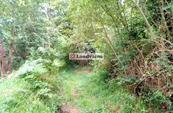 Terreny rústic en venda a Polígono 4 Parcelas 33, 64 y 74, imagen 6