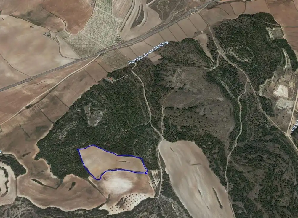 Terreno rustico in vendita a Almansa, imagen 2