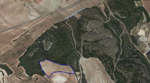 TERRENO EN BANCAL DE SECANO. TERMINO DE ZUCAÑA, immagine 2