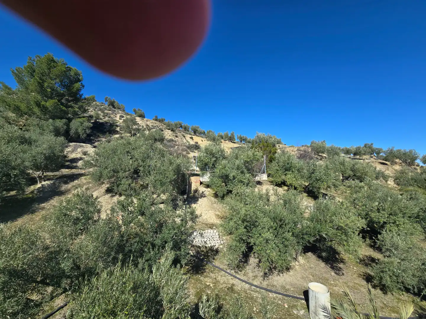 Terreni e lotti in vendita a Camino de Valdecañas, imagen 11
