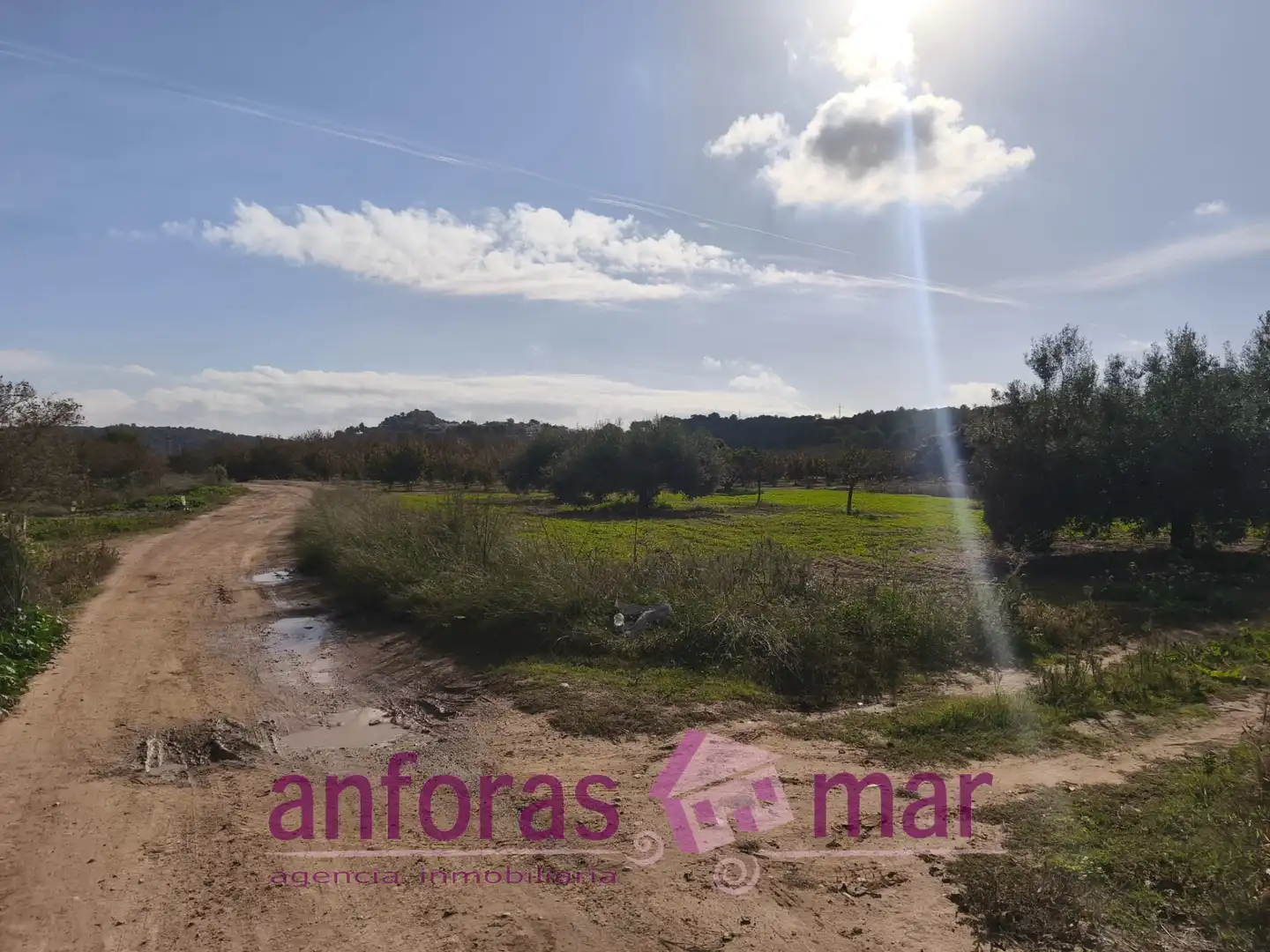 Terreno rústico en venta en La Riera de Gaià, imagen 2