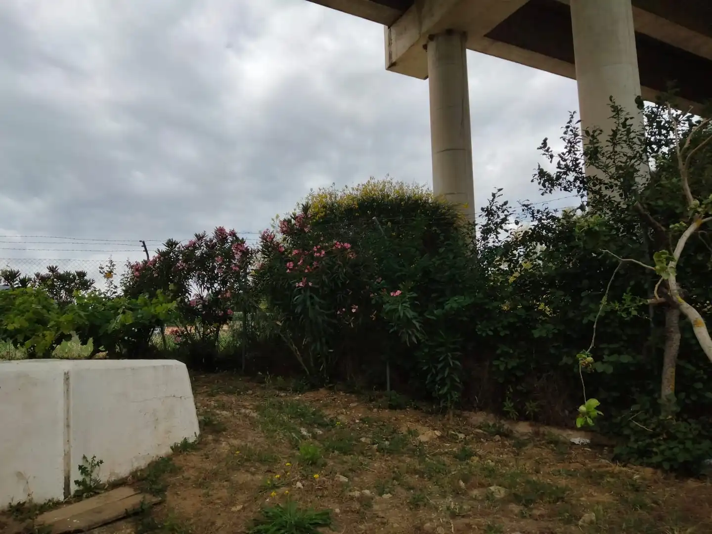 Casa rústica en venta en Partidas Sur, imagen 22
