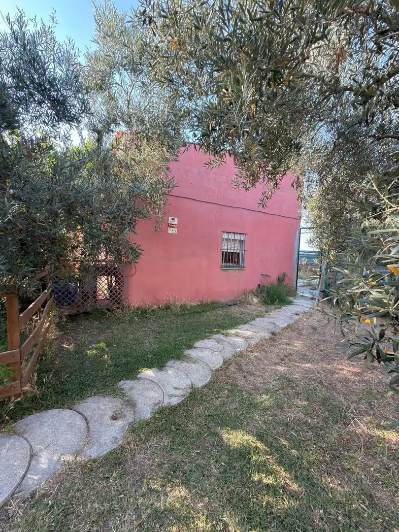 Vista exterior de Finca rústica en venda en Utrera