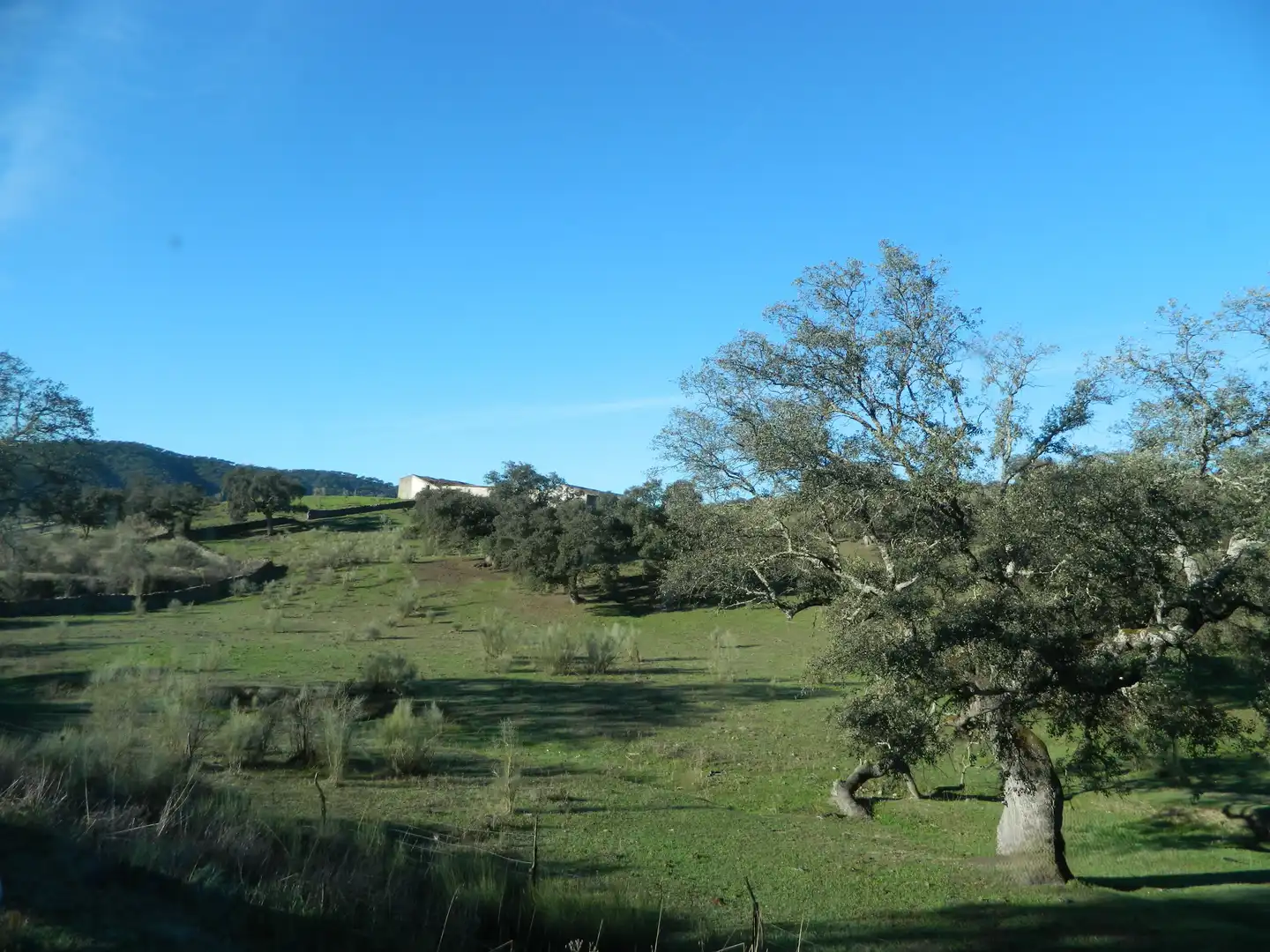 Rural land for sale in La Hispanidad - Verdeluz, imagen 3